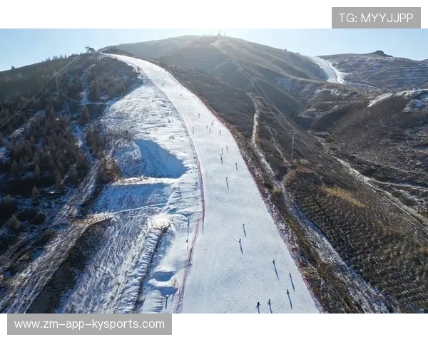 世界高山滑雪赛道生态修复第101期进展通报,2021高山滑雪比赛 世界高山滑雪赛道生态修复第101期进展通报,2021高山滑雪比赛