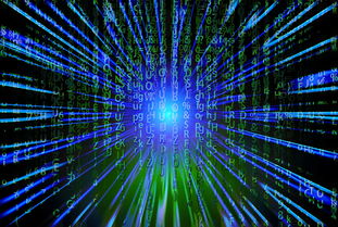 开云体育登录入口-新加坡队未来之路：如何在全球乒乓赛事中争夺更多荣誉，新加坡乒乓球厉害吗